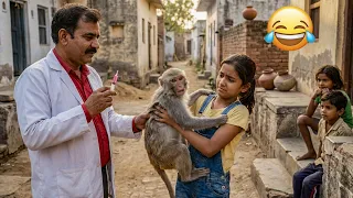 बन्दर और कुत्तों की हुई लड़ाई 🤣🤣 | Camera में हुआ कैद | Monkey and dog fight | Funny Video