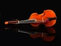 Lagu Valerio Losito plays Partita in F for Viola d'amore by Christian Petzold