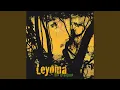 Download Lagu Jungle Air