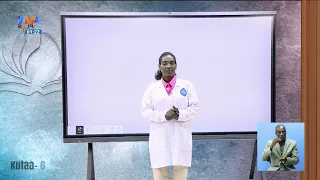 Barnoota Herregaa Kutaa 6ffaa 