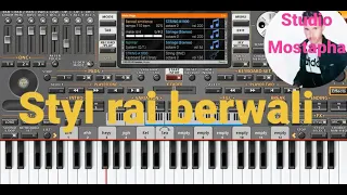 Korg Instru Ray Berwali 