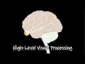 Perception High-Level Visual Processing