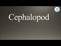 How to pronounce Cephalopod