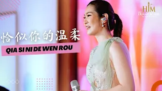 Download Qia Si Ni De Wen Rou《恰似你的温柔》Desy Huang 黄家美 MP3