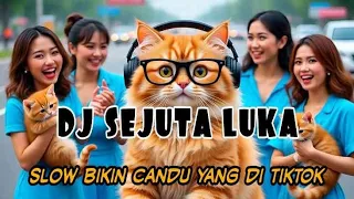 dj sejuta luka slow bikin candu yang di tiktok by yanz tube
