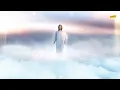 Download Lagu Shinnobu – After of My Life - 4K (UHD) 3840x2160 Video