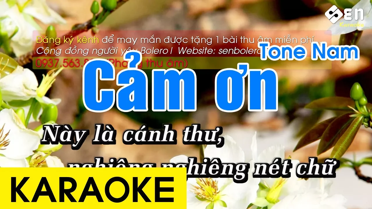 Cảm Ơn Karaoke Beat - Tone Nam
