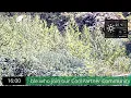 Live Camera Axis P5655-E