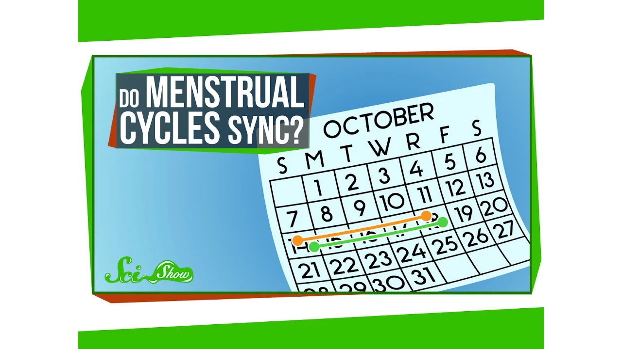 Do Menstrual Cycles Really Sync Up?