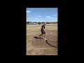 Kettlebell Drop Split Lunges with Switch