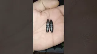 تحياتي اخوكم علي السيد الحجر 