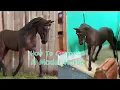 Painting a Bay Portrait Horse Schleich Model Horse tutorial
