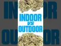Lagu Indoor VS Outdoor Cannabis