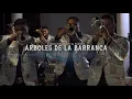 El Coyote y su Banda Tierra Santa ft Fuerza Regida - Arboles de la barranca