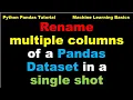 Python Pandas Rename multiple columns of a Pandas Dataset in a single shot