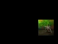 _Time Go NISSAN ALTIMA_ [Time Go Fishing from Project Hail Mary x NISSAN ALTIMA by Doechii)