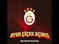 Ayva Çiçek Açmış (feat. Uğur Bayhan, Alican Genç, Kadir Uyar) [Fener Sami Yen'e Nasıl...