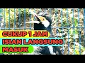 Lagu Burung Jalak Suren Tembakan Mewah Gacor Full Isian Tengkek Buto Cililin Asli