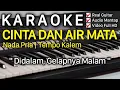 Download Lagu CINTA DAN AIR MATA Karaoke Nada Pria / Cowok Fendik Adella - Cinta Dan Air Mata