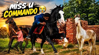 Commando🔥 Meeting Real Brother Of Commando And Riding Gone Wrong 😰Raftaar Ki Bacchi 