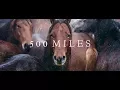 Download Lagu 500 Miles - The Story of Ranchers and Horses (2017)