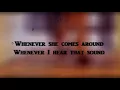Cash Cash & Digital Farm Animals - Millionaire feat. Nelly (Lyrics)
