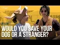 Would You Save Your Dog or a Stranger? | Man on the Street