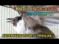 Lagu KUTILANG GACOR ISIAN KAPAS TEMBAK KENARI SIRTU PRENJAK 