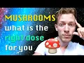 Shroom Dosage Guide From Microdose to Heroic Trip What s Right for You
