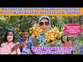 Download Lagu Ibu Sudah Nggak Sabar Ke Villa Kami Lagi
