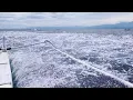 Download Lagu Merinding dapat ikan cakalang yang sangat mendidih