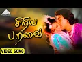 Download Lagu சிறிய பறவை HD Video Song | அந்த ஒரு நிமிடம் | கமல்ஹாசன் | ஊர்வசி | இளையராஜா