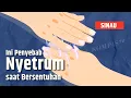 Download Lagu Penjelasan Ilmiah Bisa Tersetrum saat Menyentuh Seseorang | SINAU