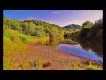 Download Lagu Leo Rojas - At night i think of You