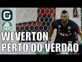 Download Lagu Goleiro Weverton está muito perto do Palmeiras- Gazeta Esportiva (14/12/17)