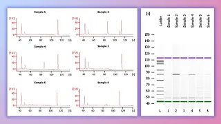 Forensic DNA Profiling Part I