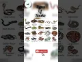 Download Lagu Types of Snakes #english #snake @learnwithmk5825