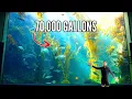 Birch Aquarium in San Diego Tour One of California s Best Aquariums