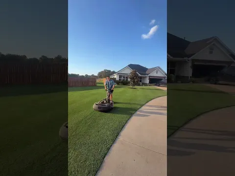 What Happens When You Mow EVERY DAY?