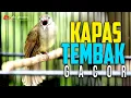 Download Lagu MASTERAN KAPAS TEMBAK GACOR NGEPIK NGEBREN