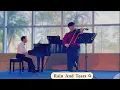 Lagu Demis Roussos《Rain And Tears》【Cover by steViolin】