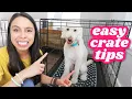 FIRST NIGHT Crate Training 5 Easy Steps