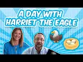 A Day With Harriet the Eagle by Ginnie Pritchett McSpadden