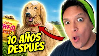 Consome Panchi...10 años Despues ! (Primo de Chewbacca)