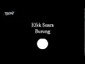 Download Lagu Efek suara kicauan burung (Bird)
