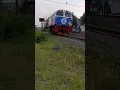 Hype Trip Argo Bromo Anggrek | #shorts #railway