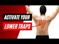How to activate the lower trapezius muscle - progressive strengthening exercises to engage the traps