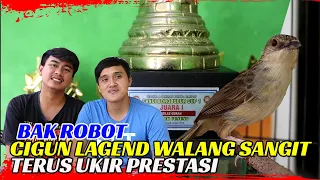 tujuh tahun di pelihara walang sangit ngebren bak robot
