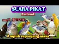 Download Lagu SUARA PIKAT BURCIL PALING AMPUH ANTI ZONK SANGAT MEMPESONA MP3 PUTAR SEKALI LANGSUNG NYAUT