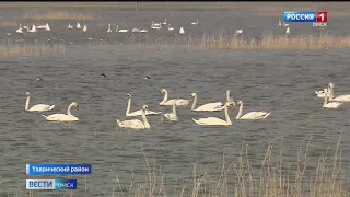 «Вести Омск», итоги дня от 1 апреля 2022 года